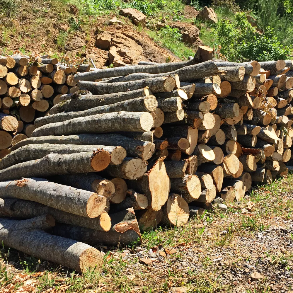 Noleggio Furgoni Piacenza - immagine catasta di legna